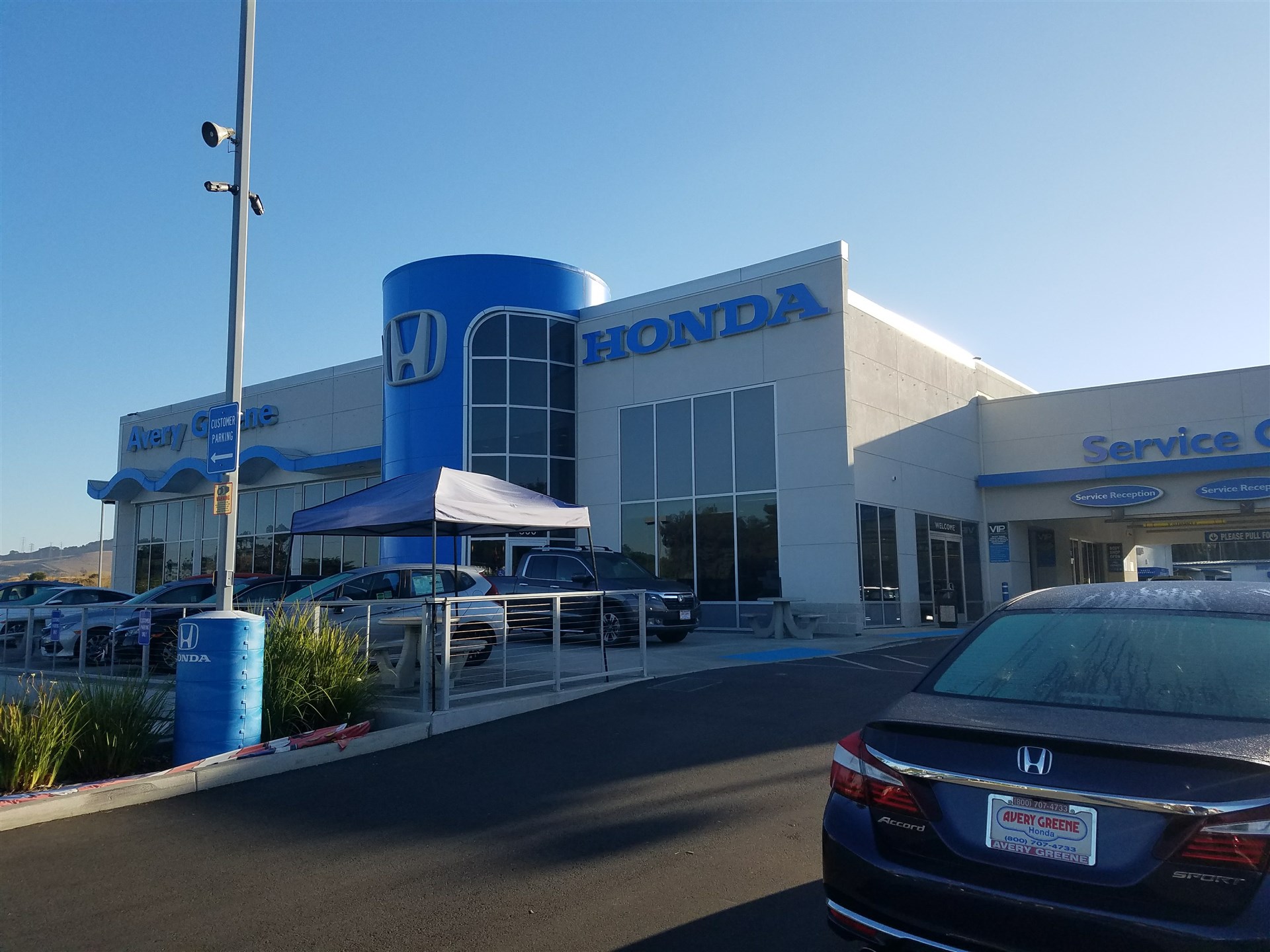 Avery Greene Honda