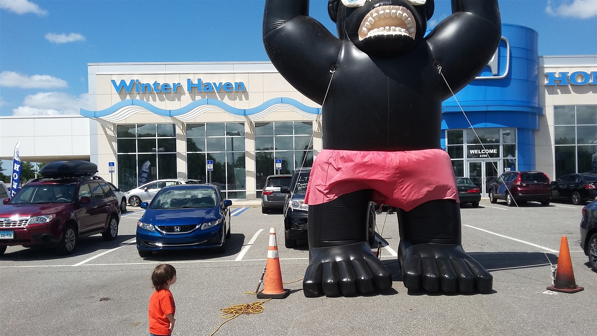 Winter Haven Honda