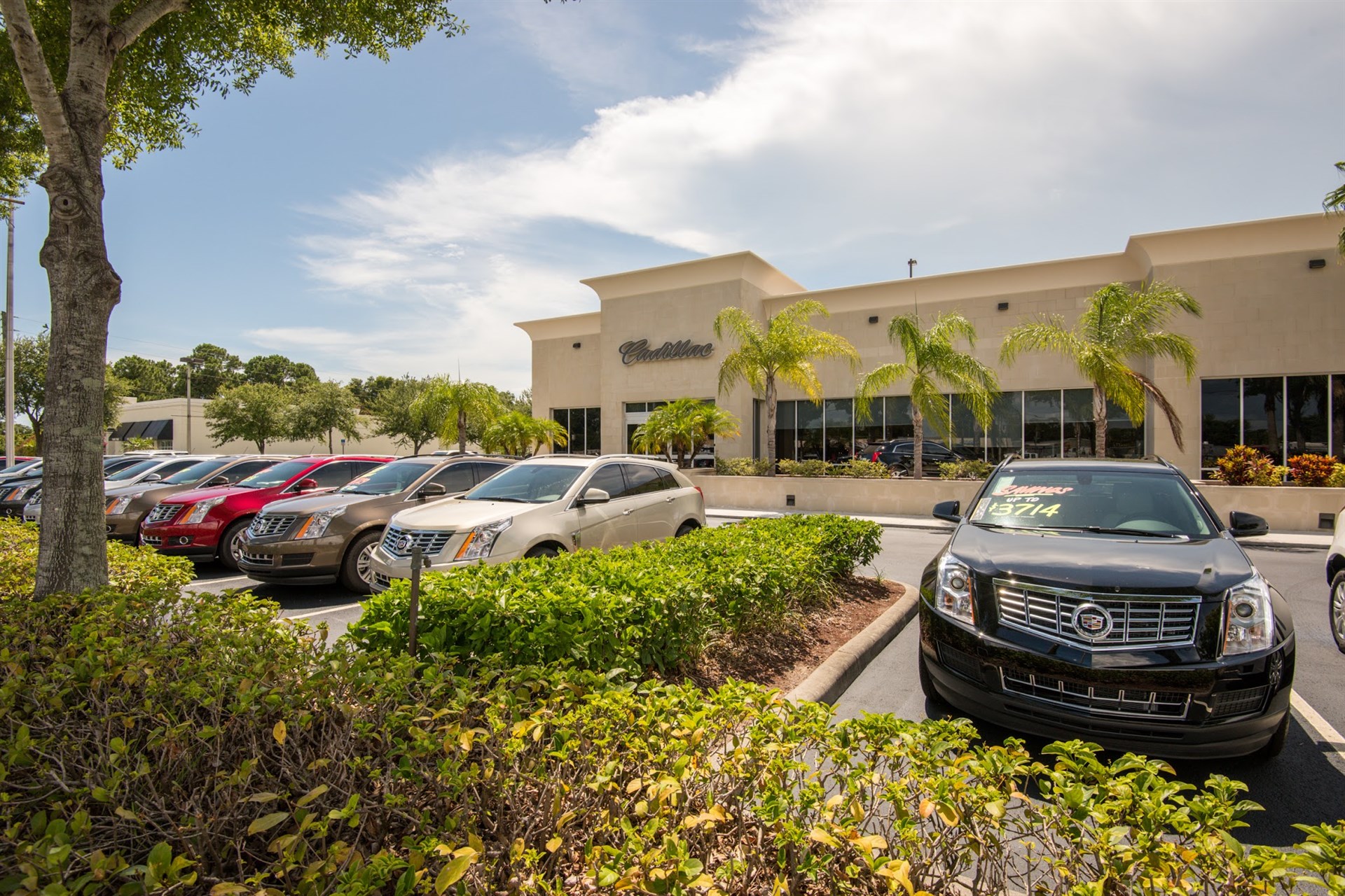 AUTONATION CADILLAC PORT RICHEY