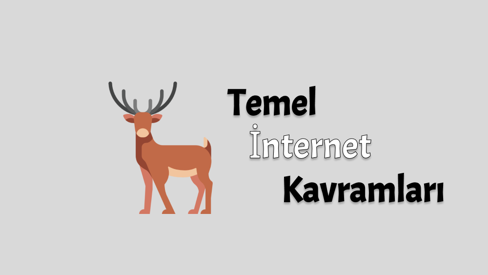 Temel İnternet Kavramları