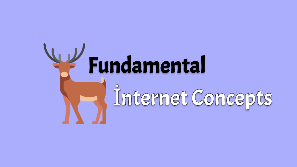 Fundamental Internet Concepts