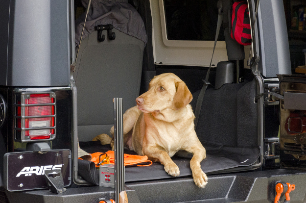 CURT Seat Defender™ cargo blanket - hunting dog