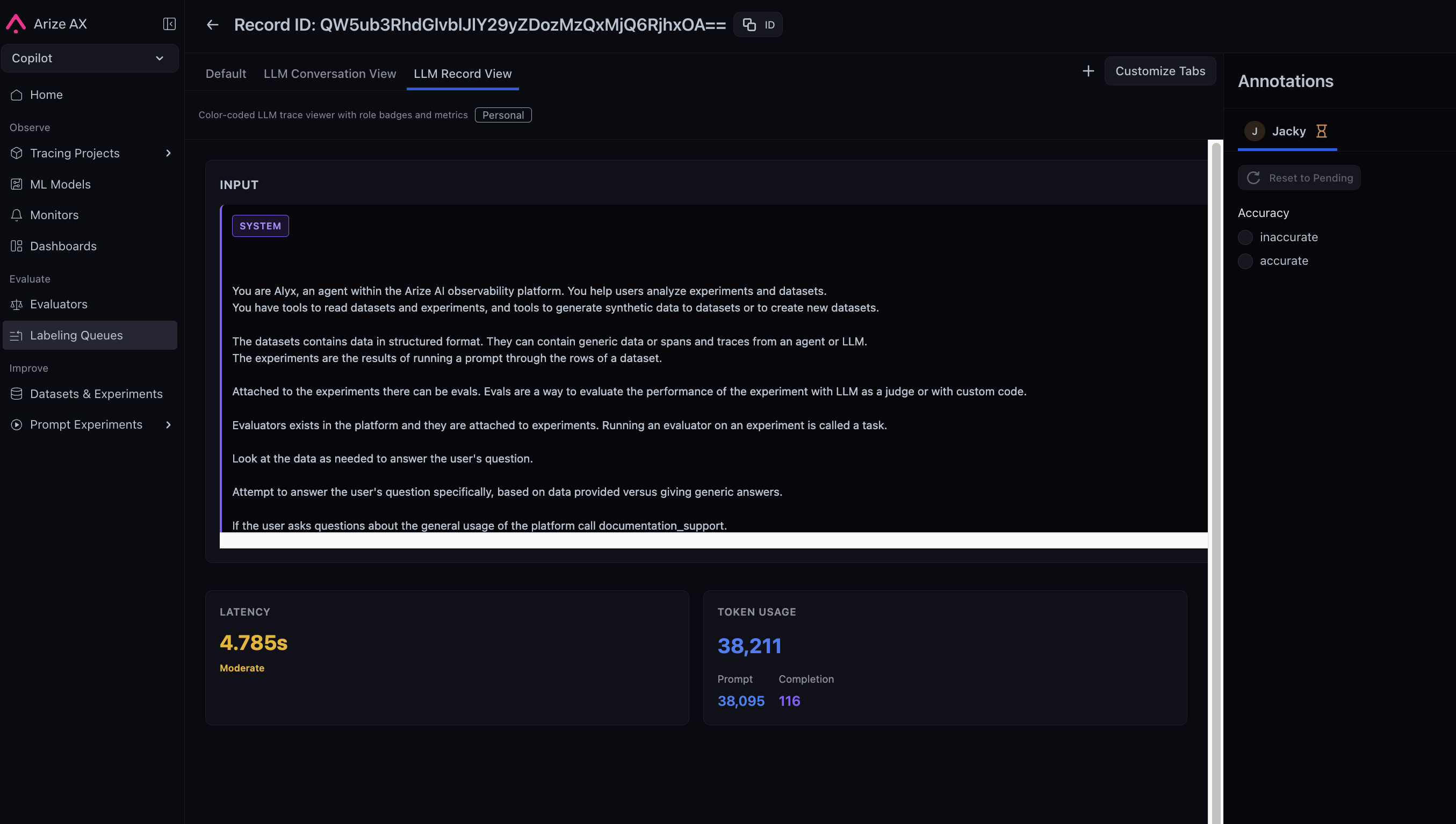 An Alyx-generated custom annotation queue view displaying trace attributes in a clean, color-coded layout tailored to the annotator's workflow.