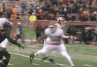Rawleigh Williams TD