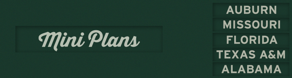 Mini Plans