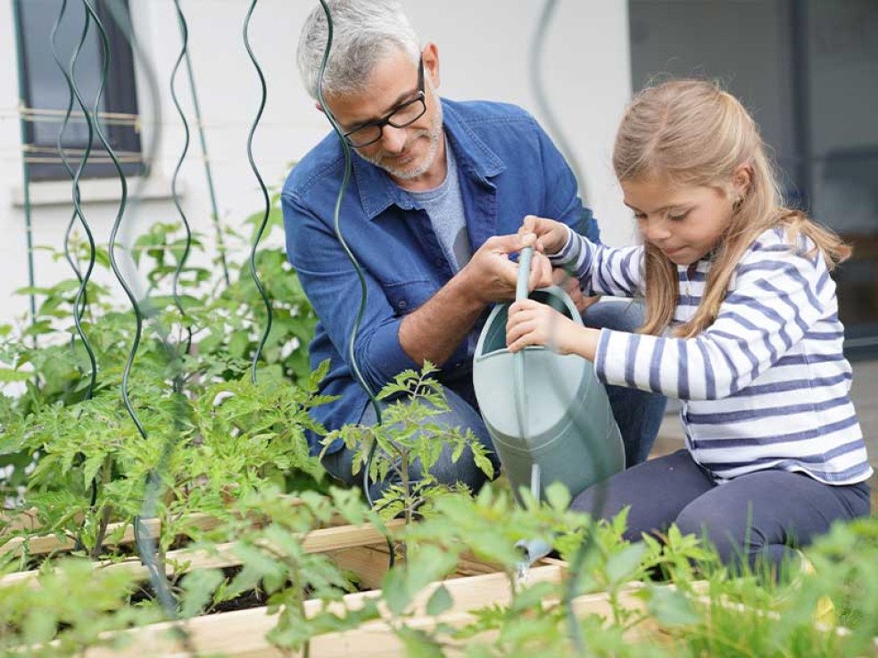 Amenager-un-potager-dans-son-jardin