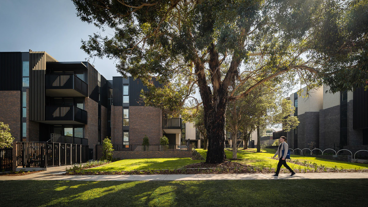 Buildings surrounding existing trees along Dunlop Avenue