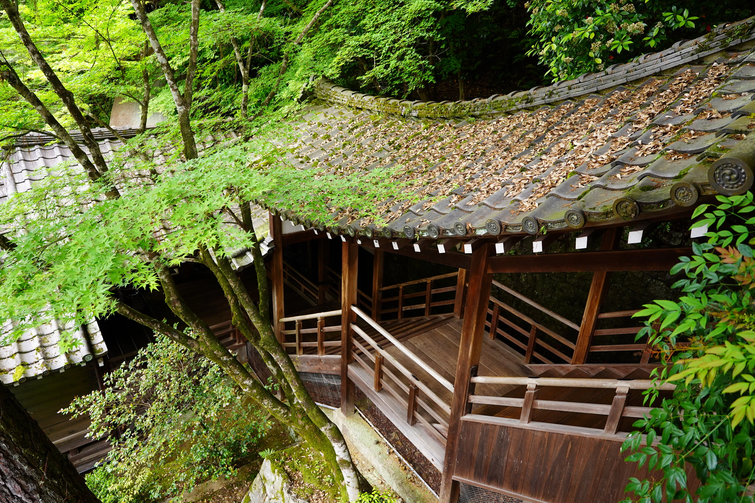 Japanese wooden walkway and traditional tiled roof