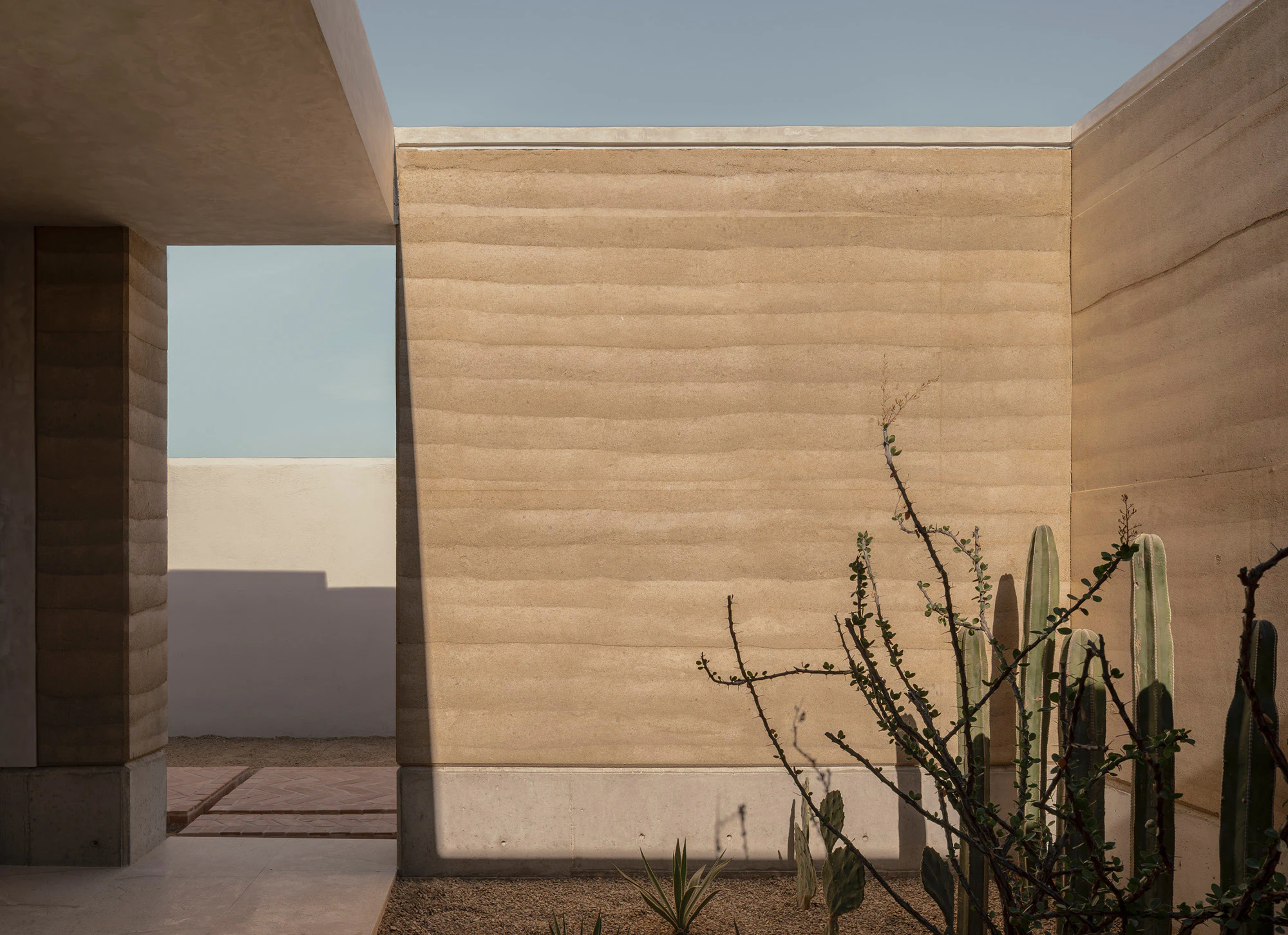 Concrete wall in a modern architectural courtyard garden