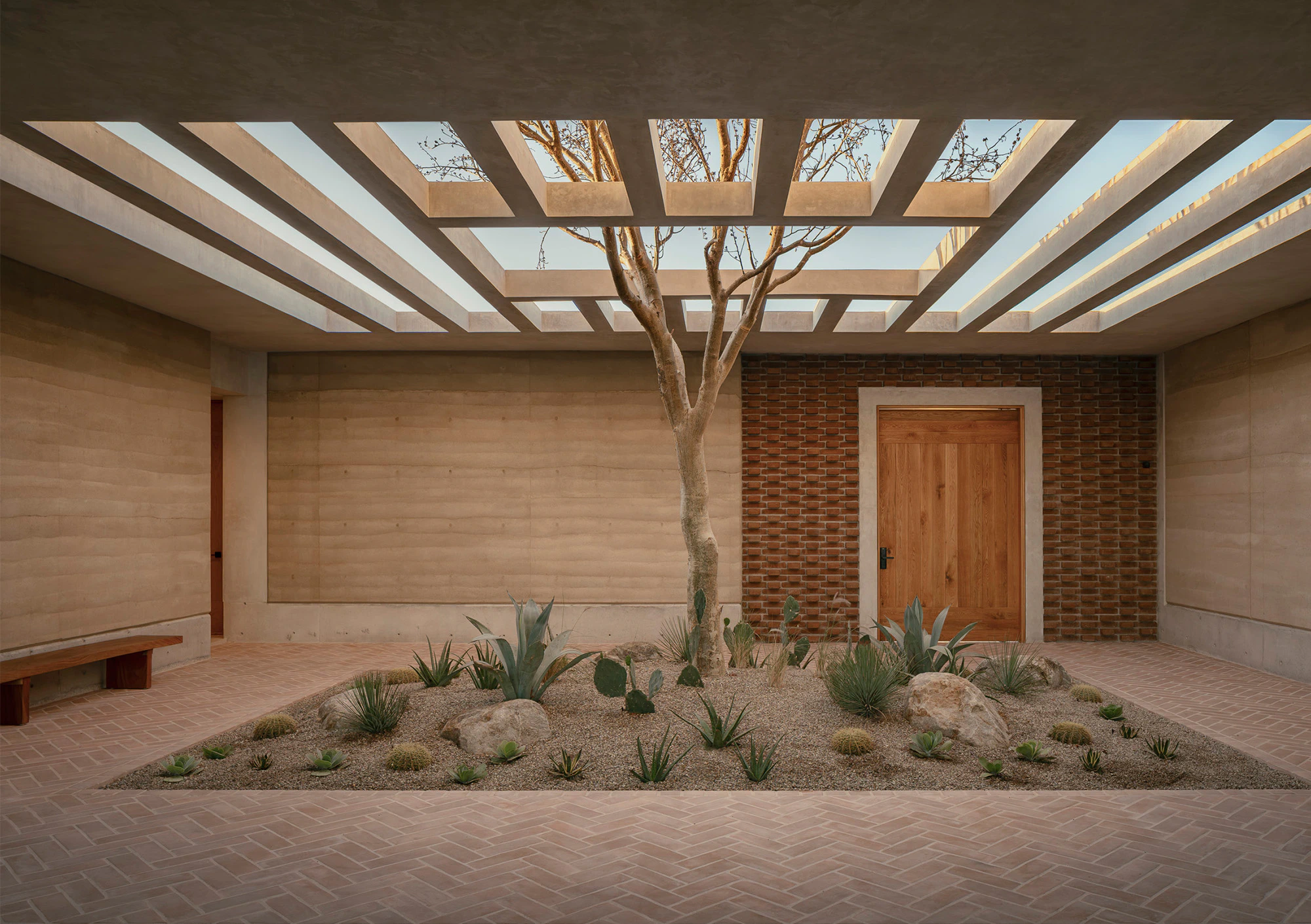 Indoor courtyard featuring a tree, desert plants, and skylights in a modern architectural space