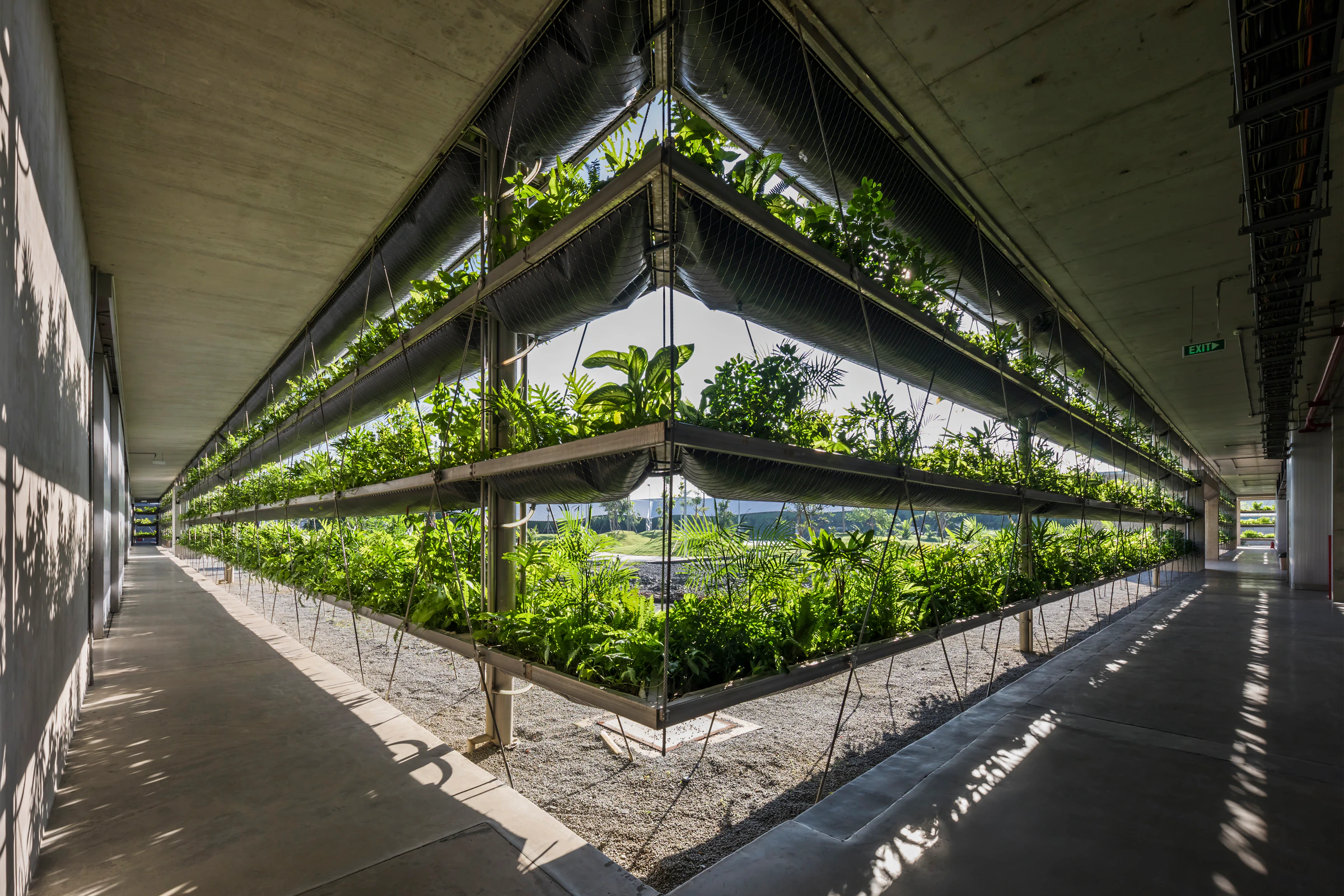 Jakob Factory planted façade, concrete galleries and stainless-steel cable lattice
