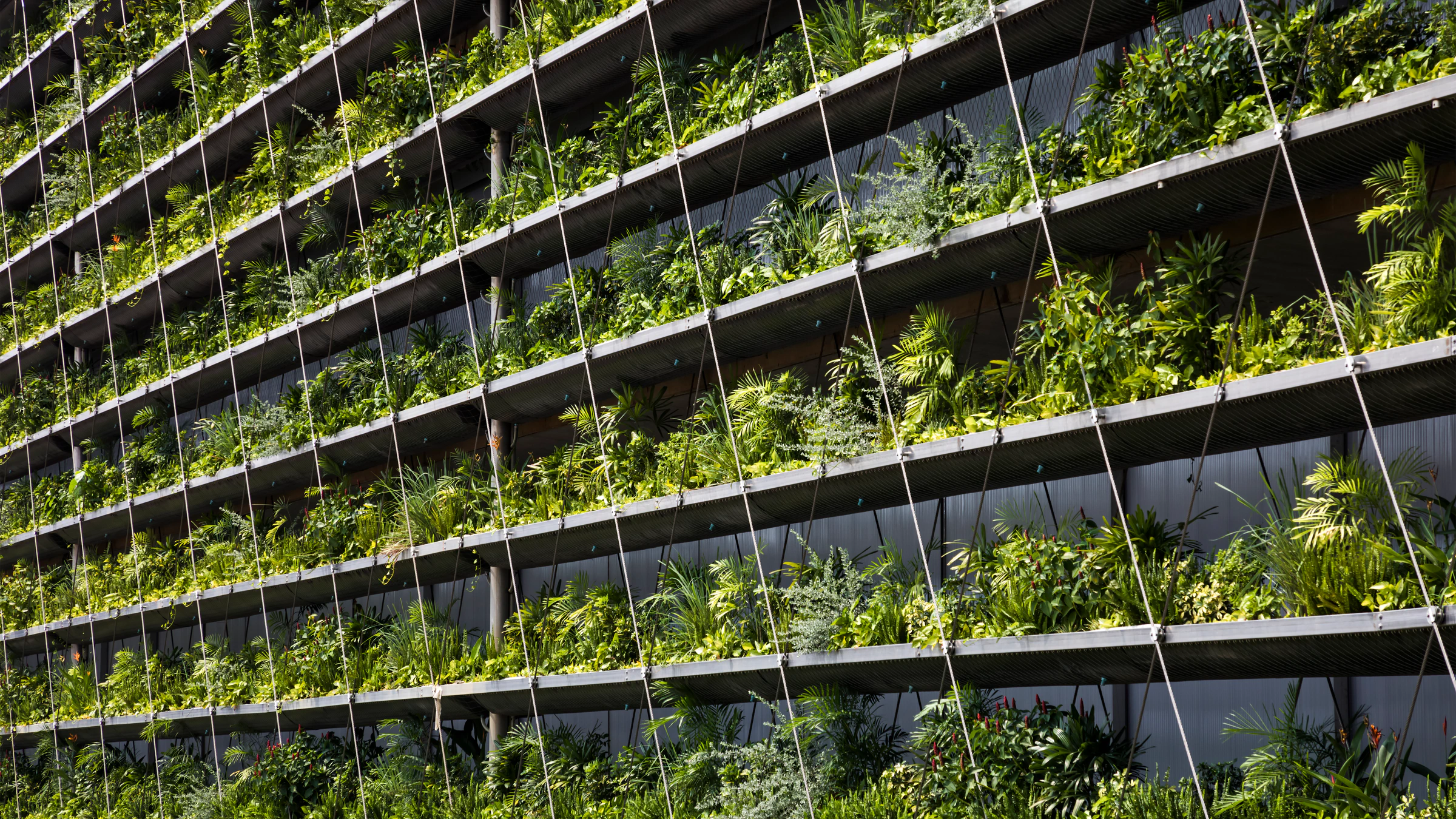 Jakob Factory planted façade and stainless-steel cable lattice