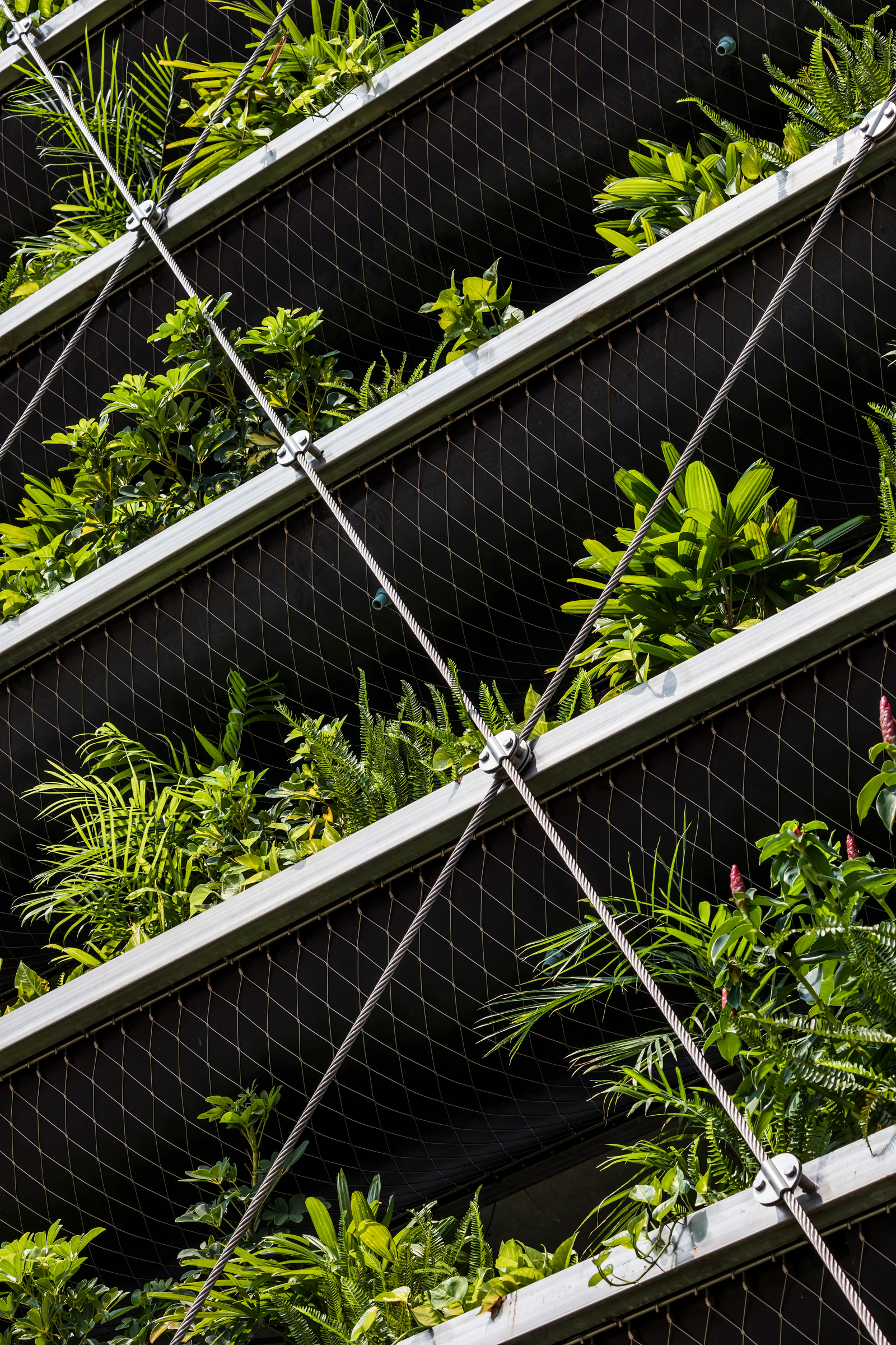 Jakob Factory planted façade, stainless-steel cables and mesh troughs