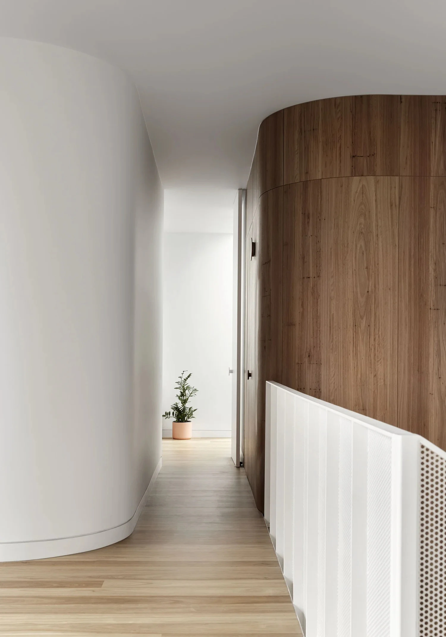 Curved hallway interior featuring timber panelling and light timber flooring