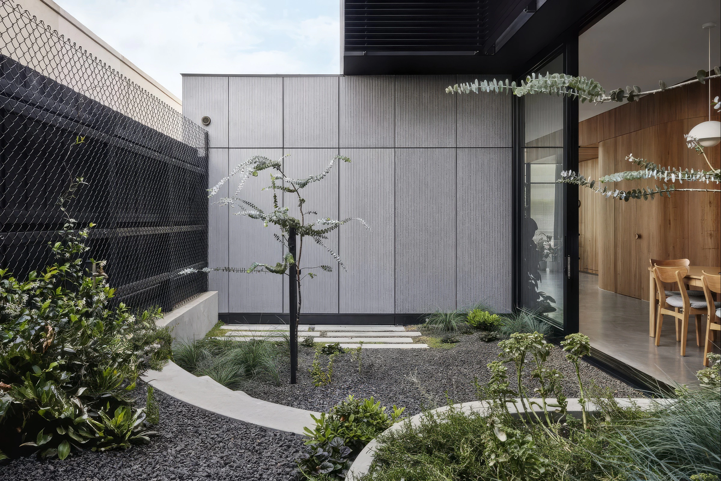 Courtyard garden beside dining room and textured exterior wall