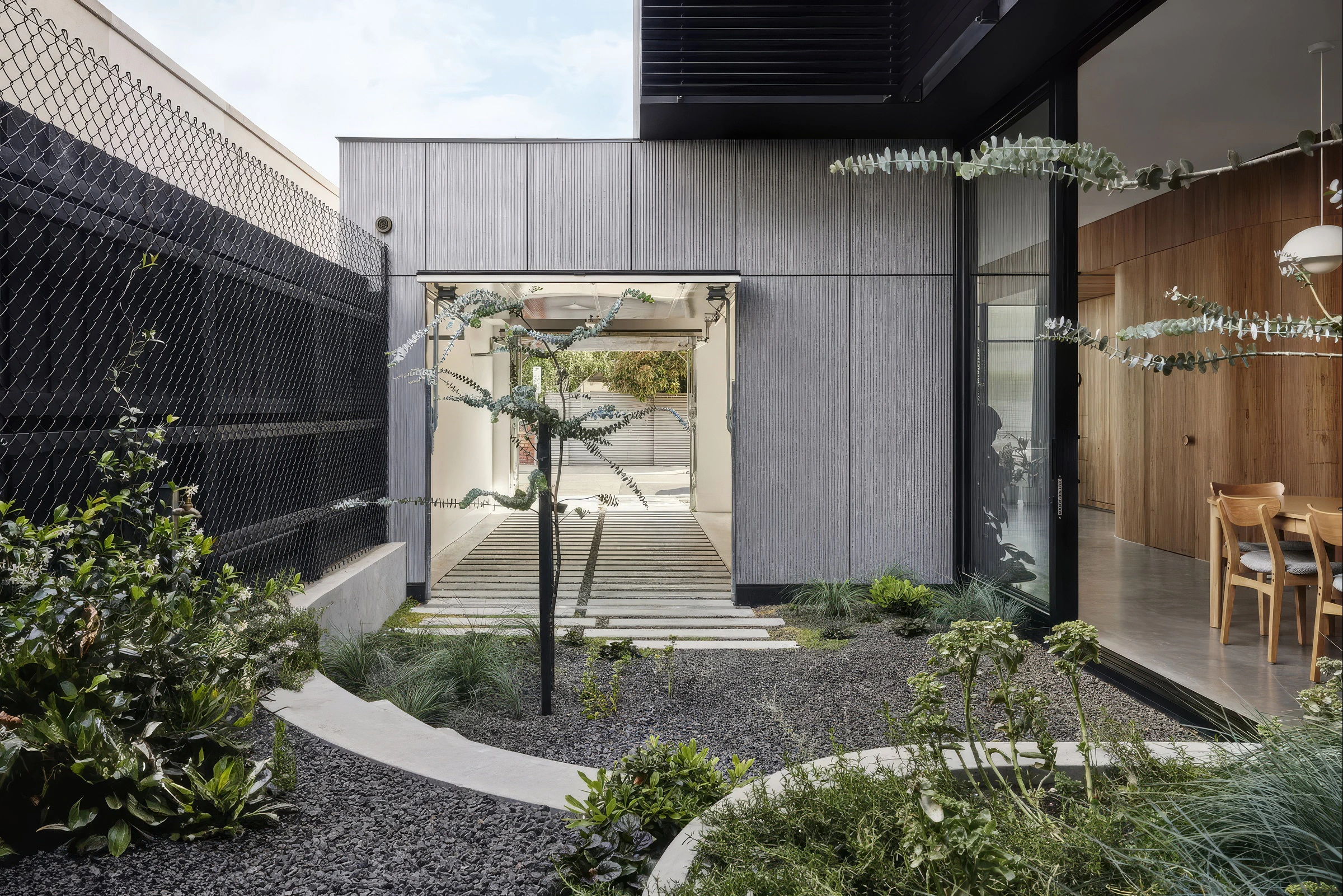 Courtyard garden beside timber dining room and concrete walkway