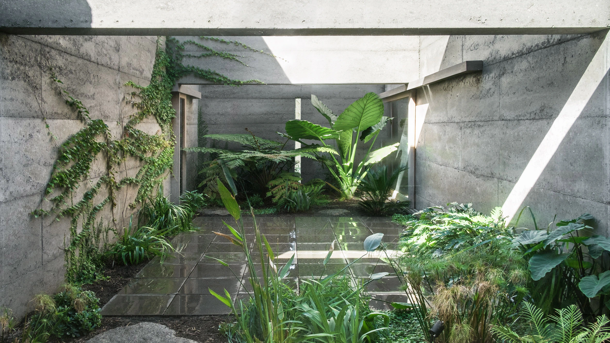 Indoor courtyard garden surrounded by rammed earth walls