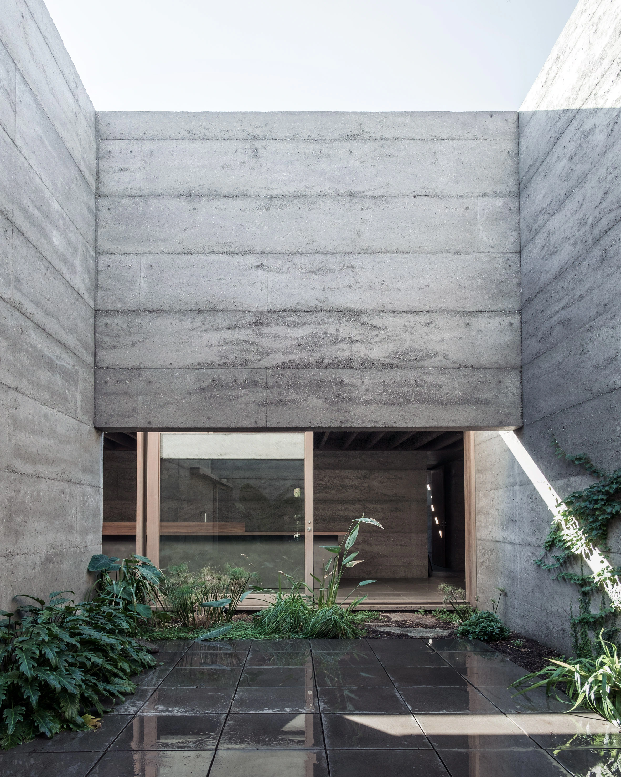 Concrete courtyard with glass door and garden plants
