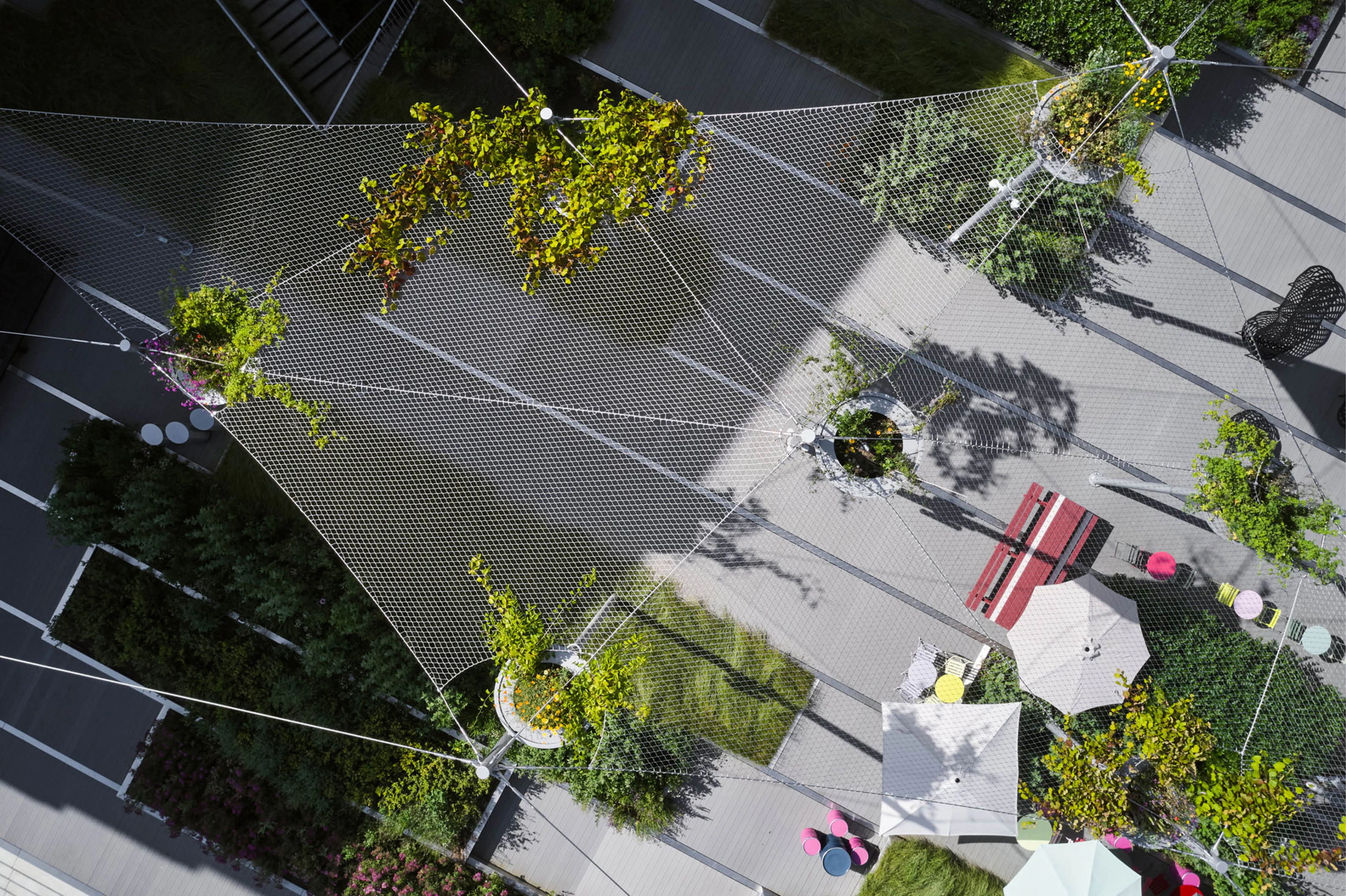 Cable-supported Flower Pavilion over planted plaza at Emil North