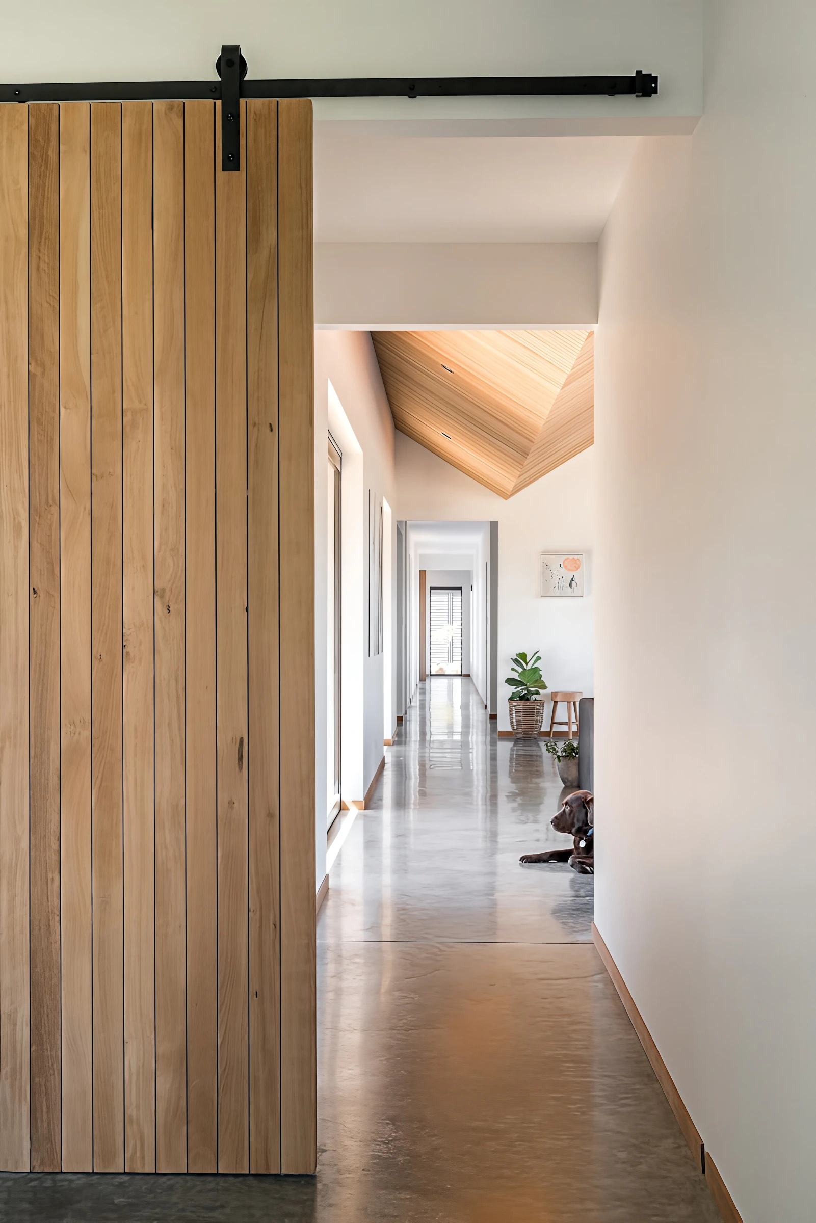 Interior corridor with wooden accents and natural lighting