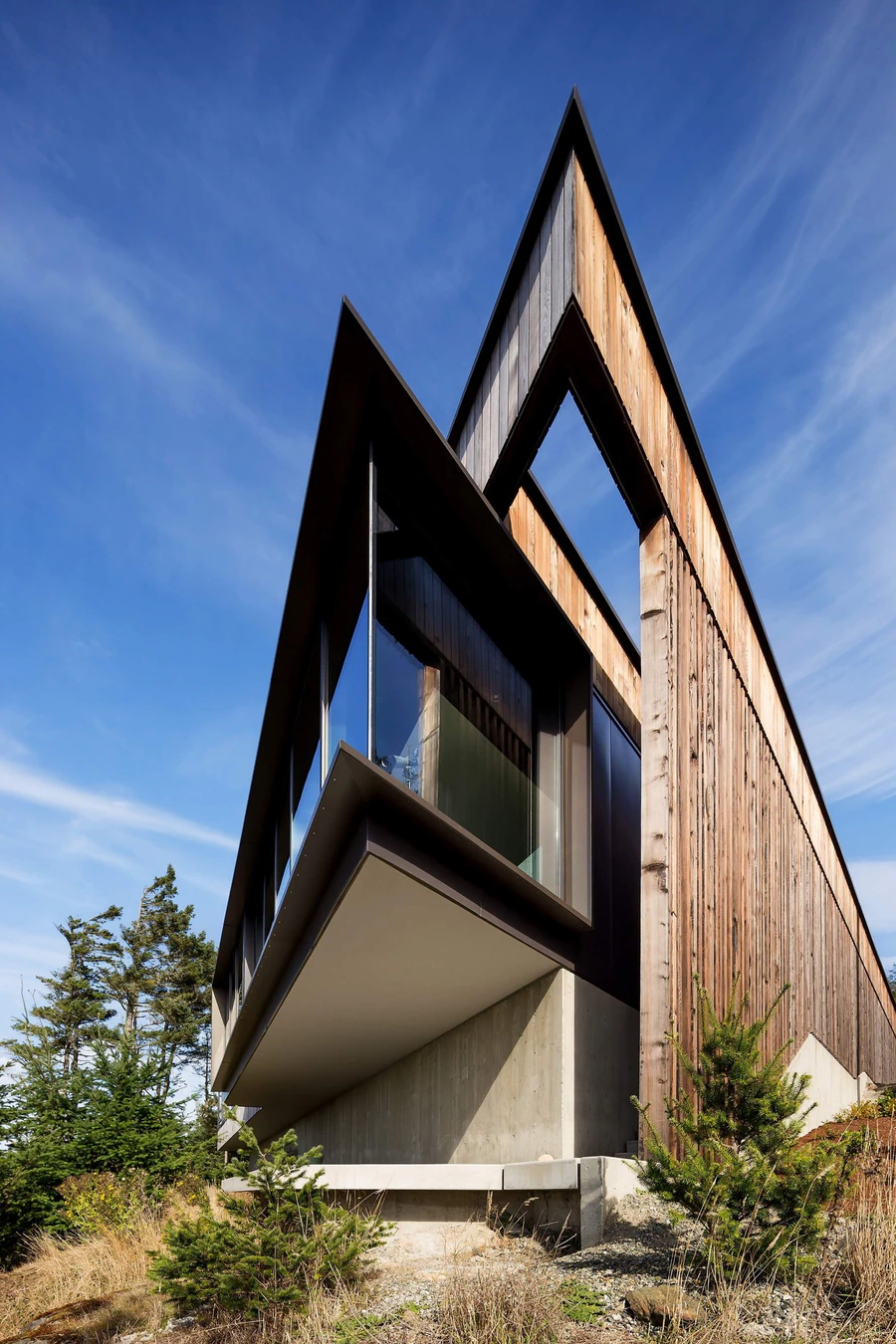 Okada Marshall House sharp reach out over the forest canopy line