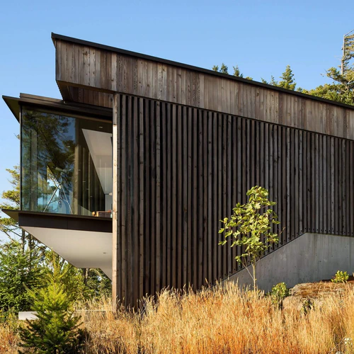 Modern house with dark vertical wood siding and large glass windows