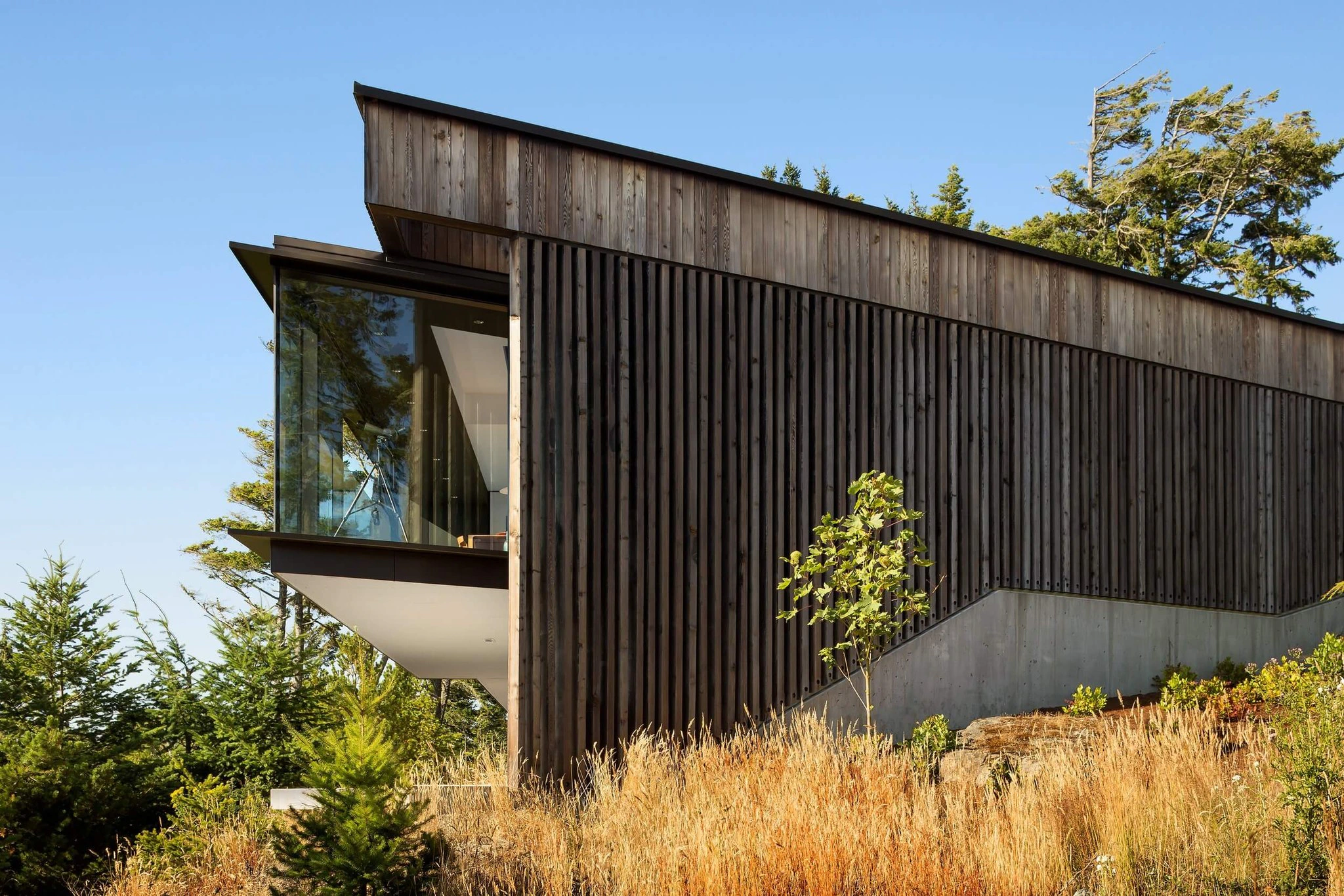 Modern house with dark vertical wood siding and large glass windows