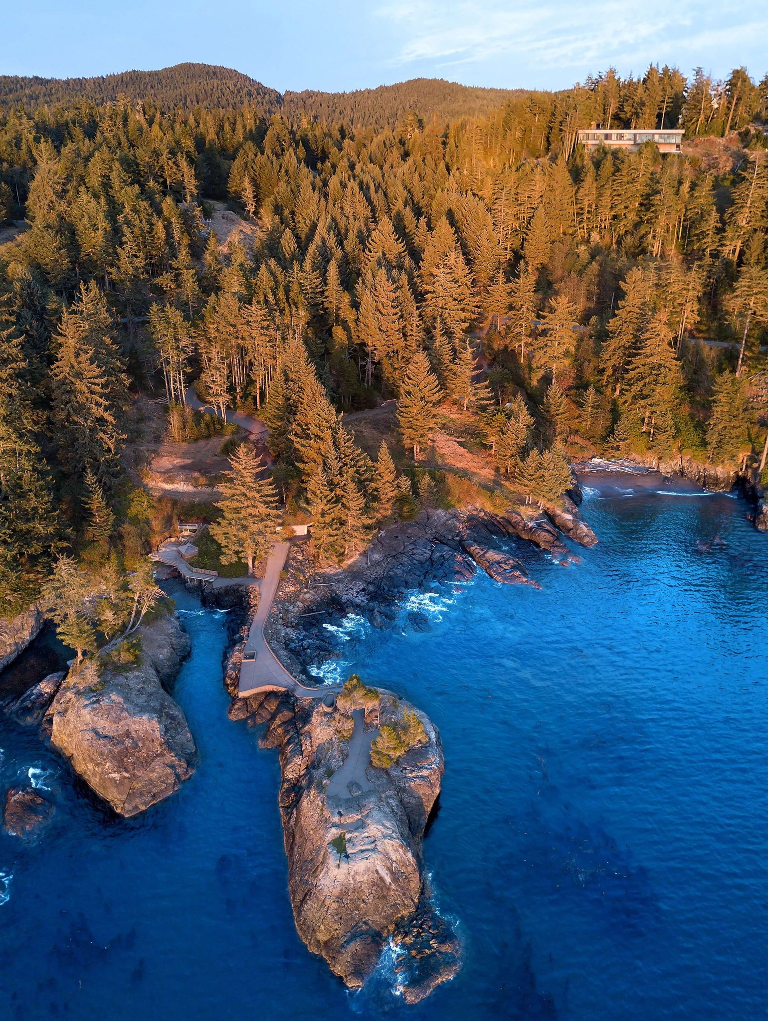 Aerial view of the Okada Marshall House surrounded by a coastal forest landscape with a rocky shoreline