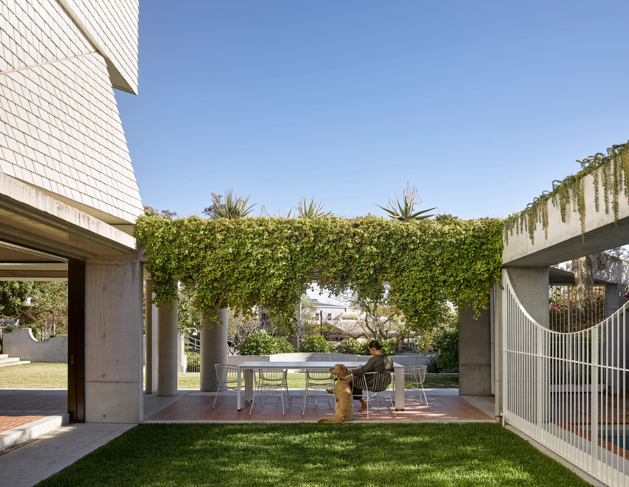 Outdoor patio dining area under green vine pergola