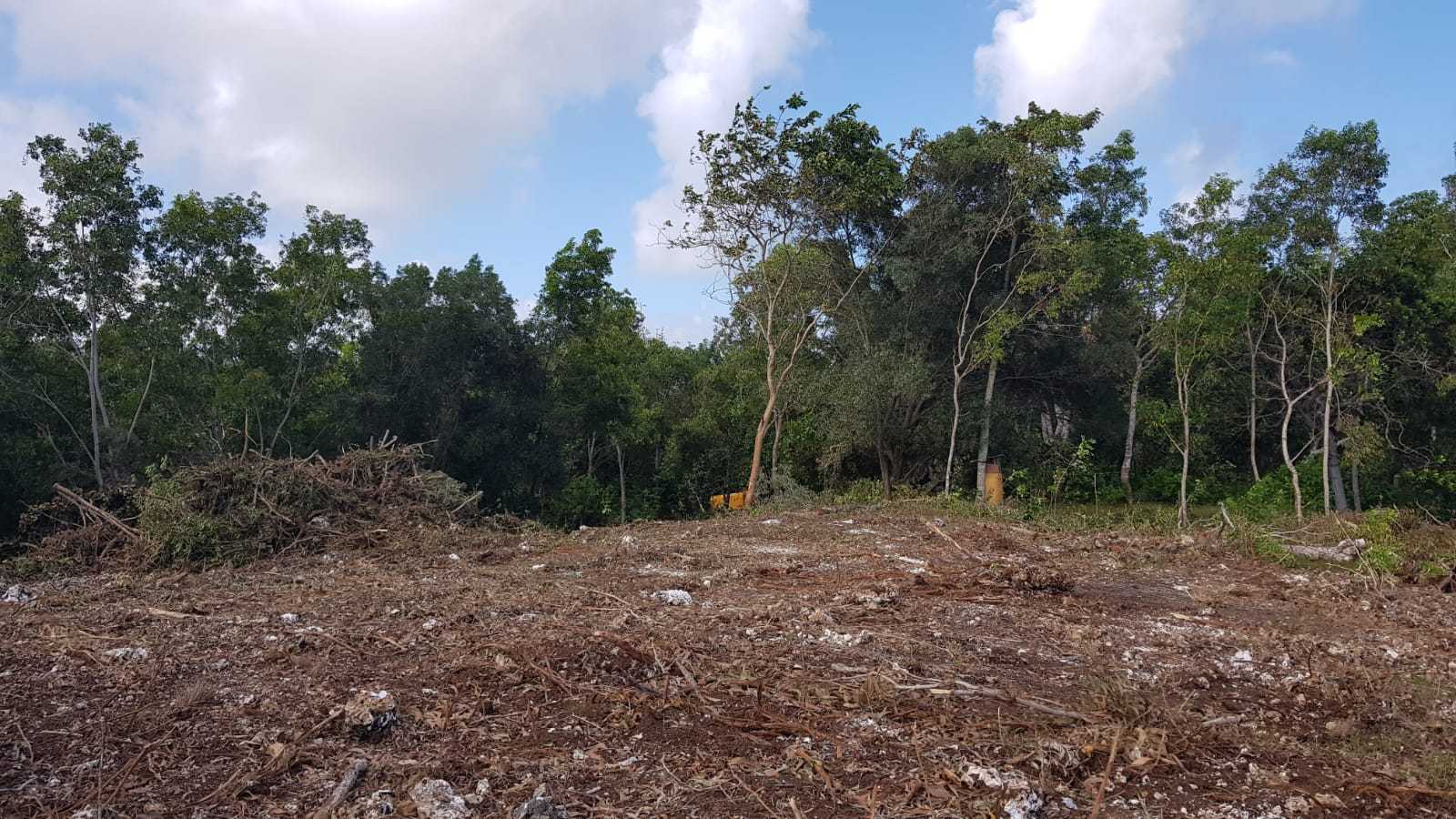 Integrate Design & Build Mr. W Uluwatu Project Pecatu, Kec. Kuta Sel., Kabupaten Badung, Bali, Indonesia Pecatu, Kec. Kuta Sel., Kabupaten Badung, Bali, Indonesia Integrate-Design-Build-Mr-W-Uluwatu-Project  133782