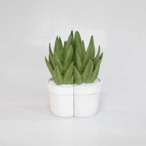 Foto produk  Book End Aloe Green di Arsitag