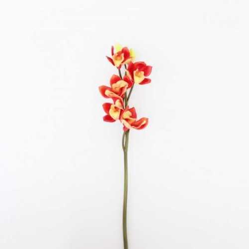 Foto produk Plant Decorations Flower Cymbidium Red di Arsitag