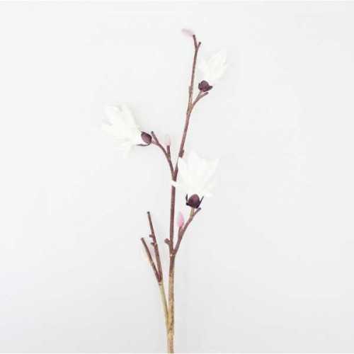 Foto produk  Flower Magnolia Rabbit di Arsitag