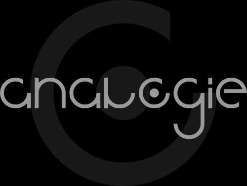 Analogie Studio Architects- Jasa Arsitek Indonesia