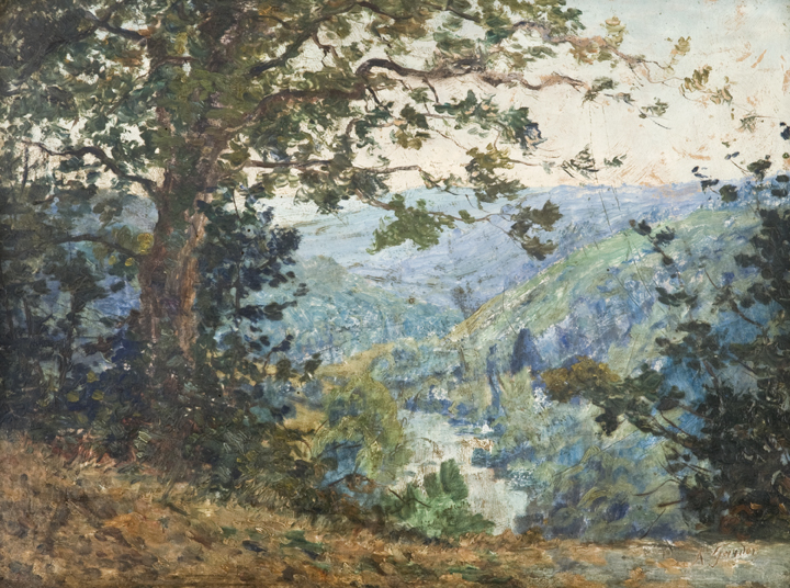 Vue d'une vallée des Alpes