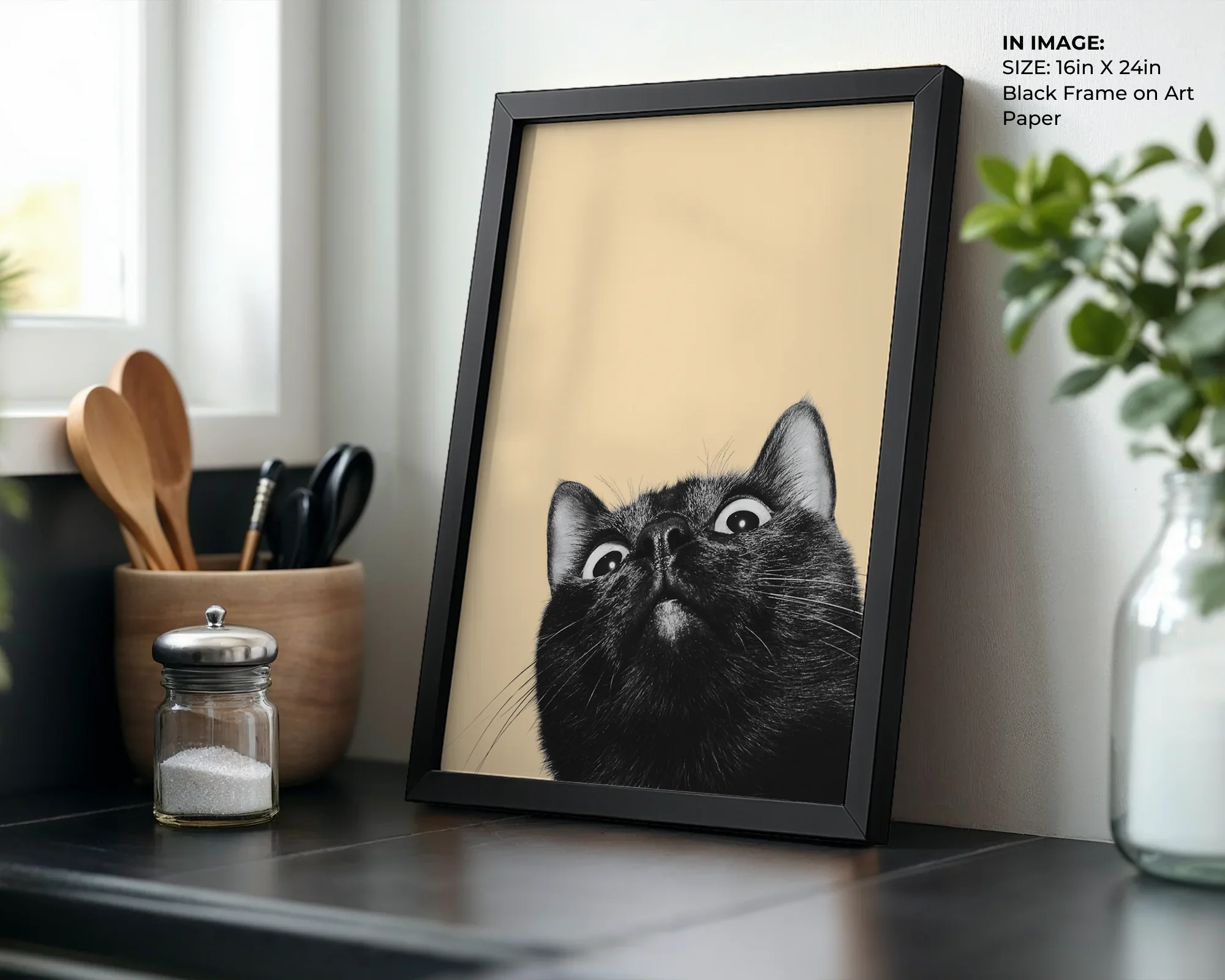 Curious Cat - Gallery Image 3