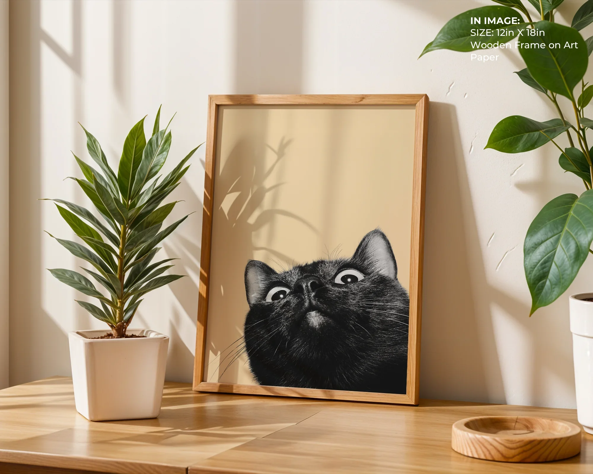 Curious Cat - Gallery Image 4