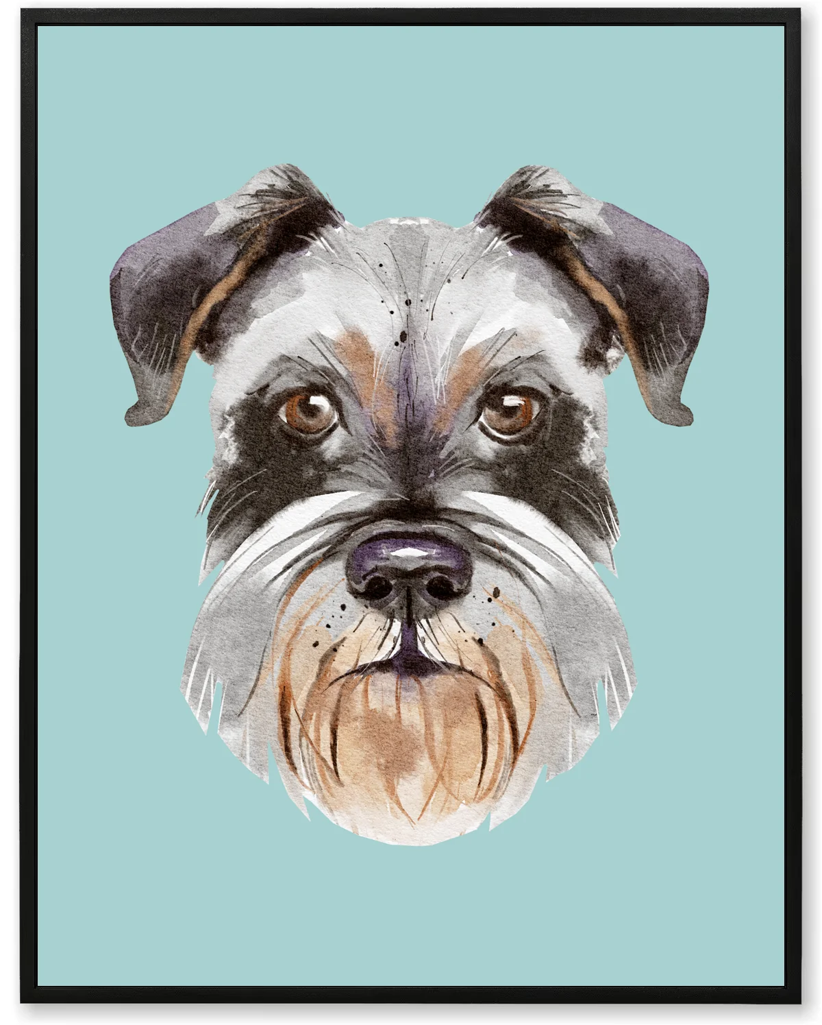 Gentle Schnauzer