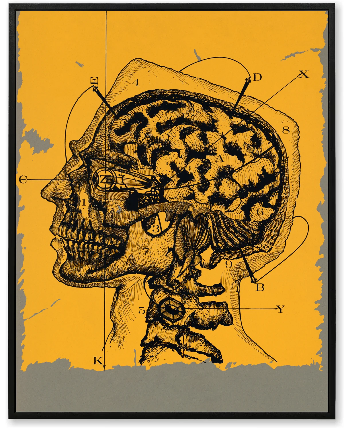 Mechanical Brain