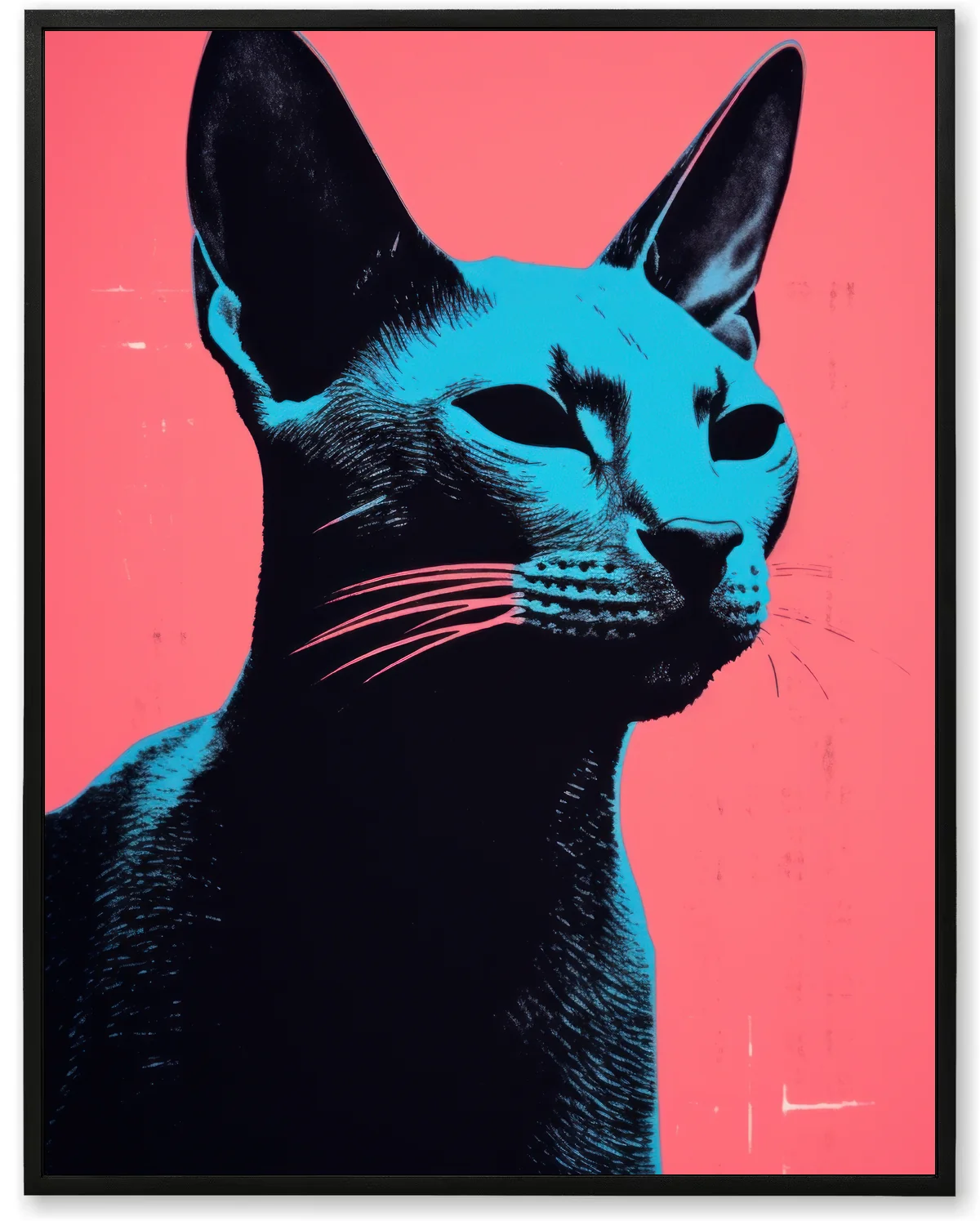 Midnight Cat