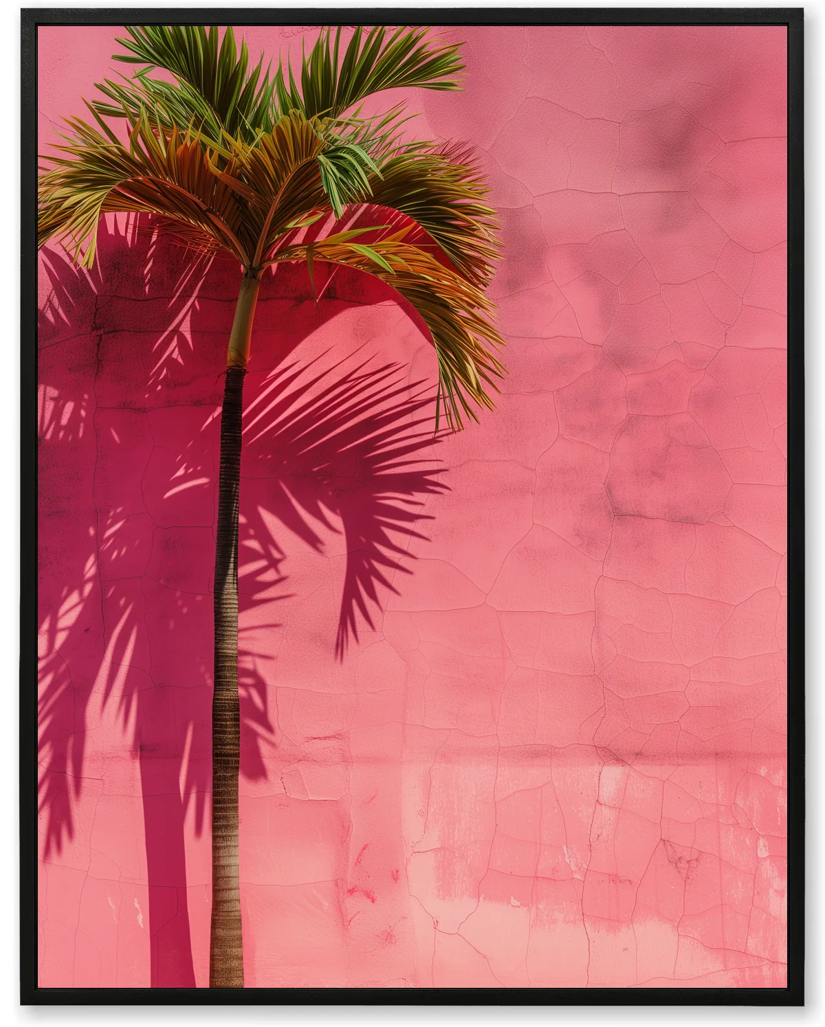 Pink Palm