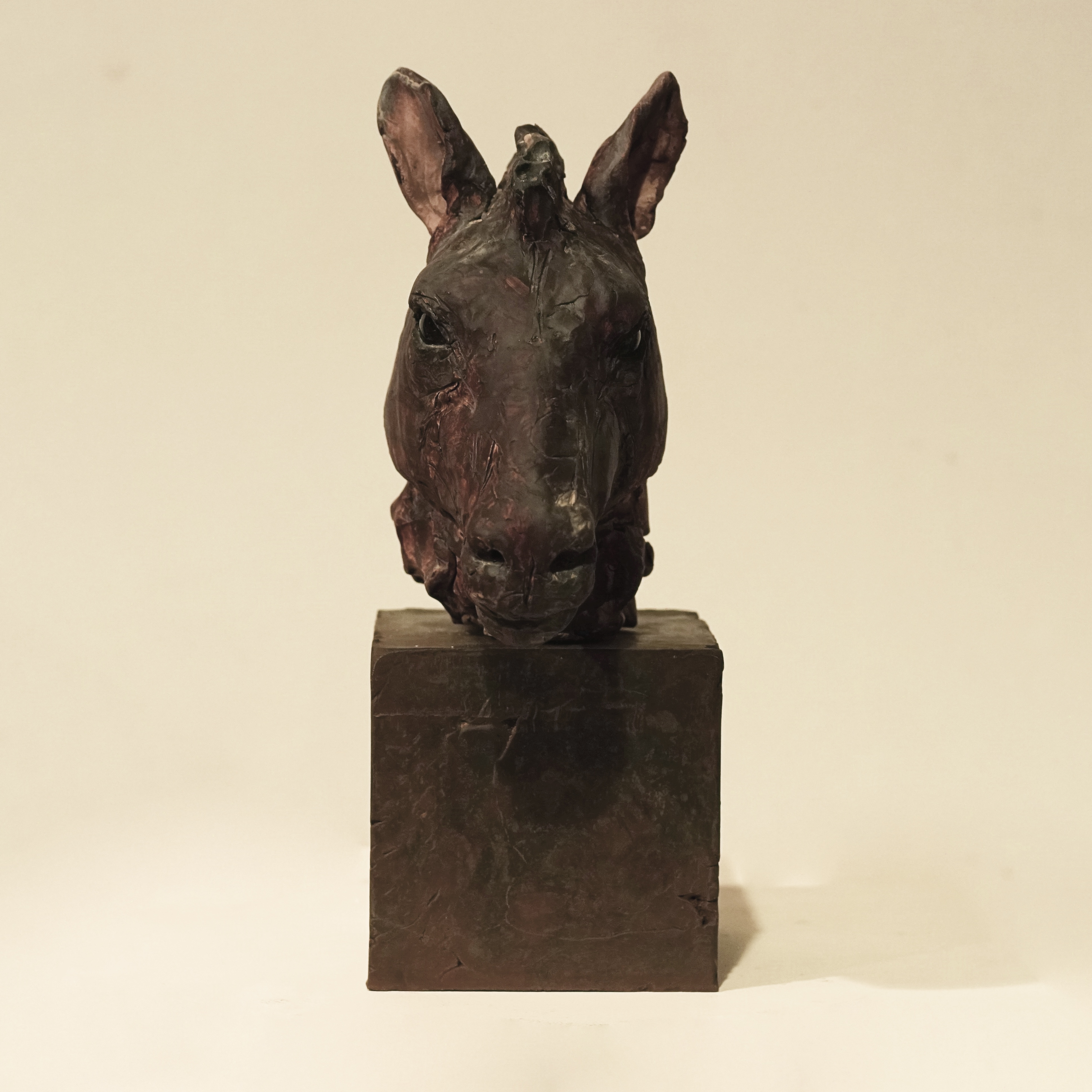 瀬戸 優｜極地の賢者- カラフトフクロウ -｜Available for Sale