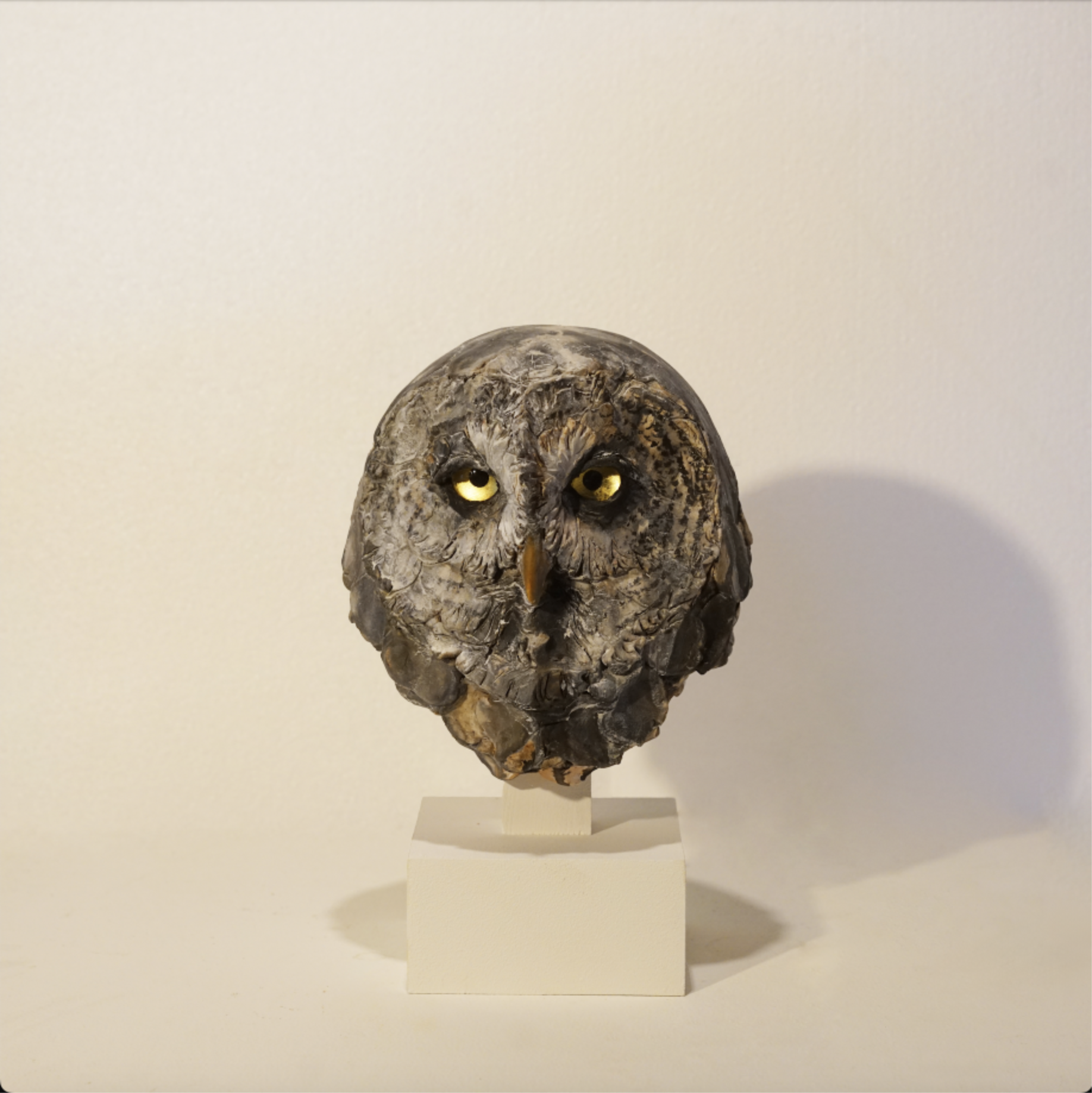 特別限定1点フクロウ隕石入り皆に愛され人間関係円満プレート 瀬戸 優｜極地の賢者- カラフトフクロウ -｜Available for Sale