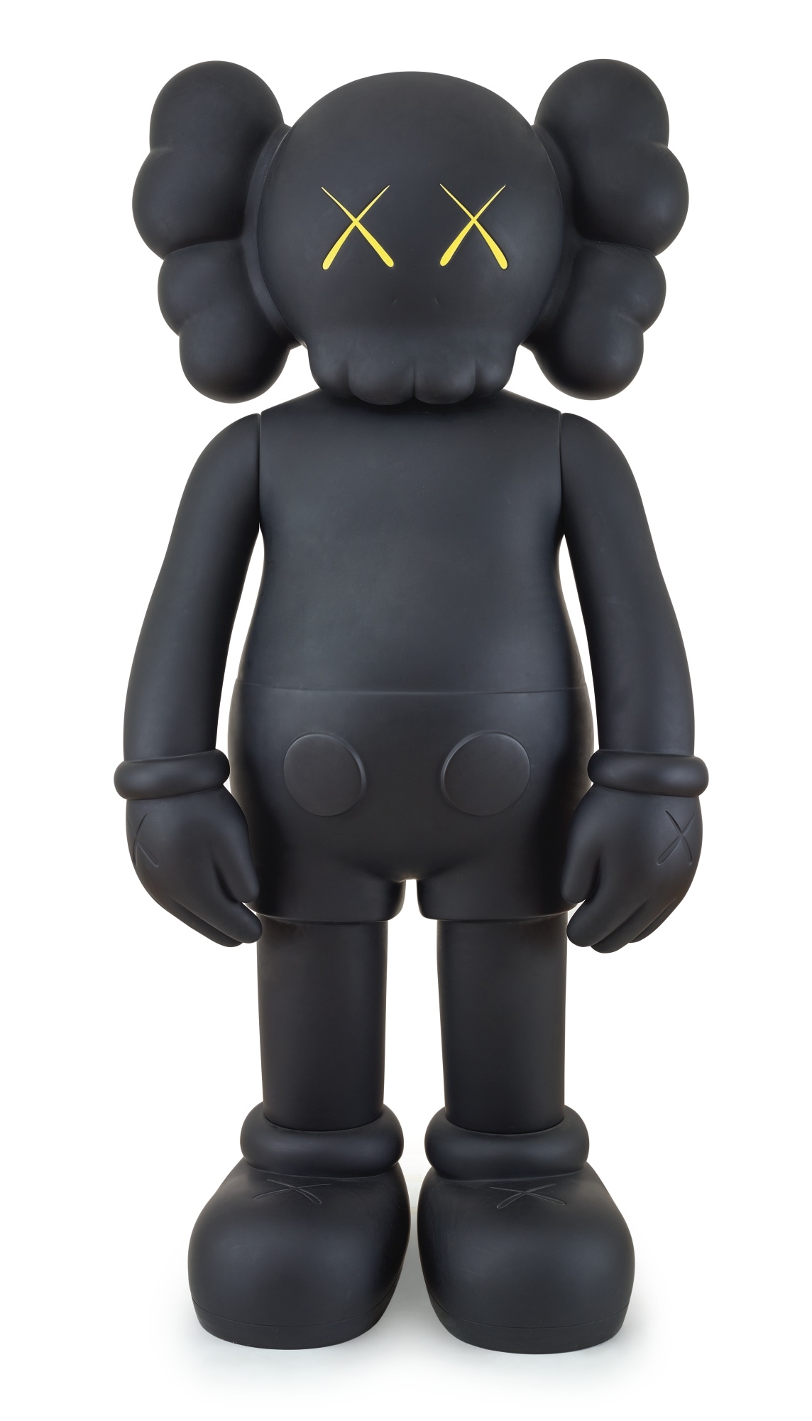 Companion Fiberglass Black, 2010