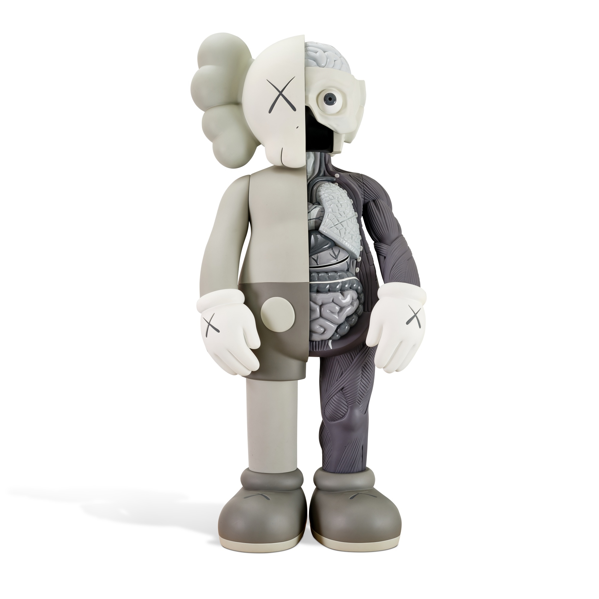Dissected Companion Fiberglass Grey, 2010