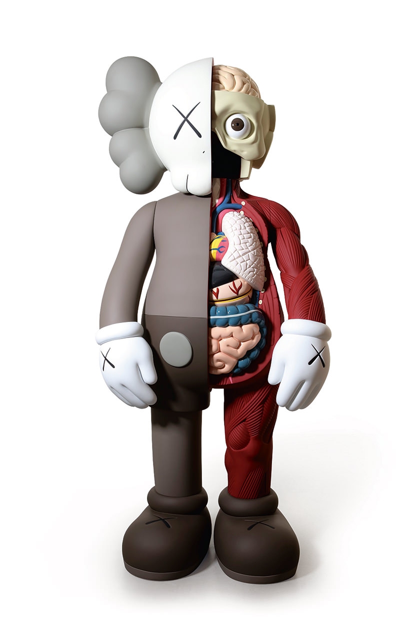 Dissected Companion Fiberglass Brown, 2010