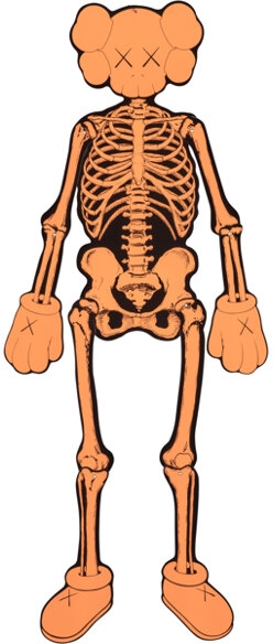 Companion Skeleton (Orange)