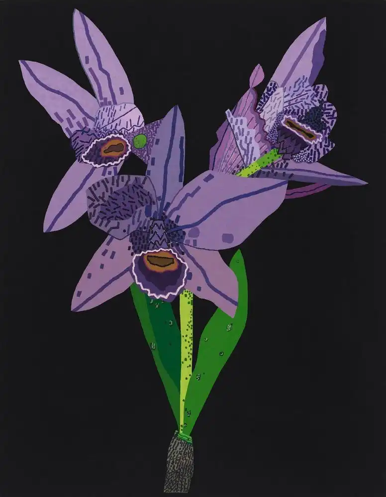 Dogface Purple Orchid