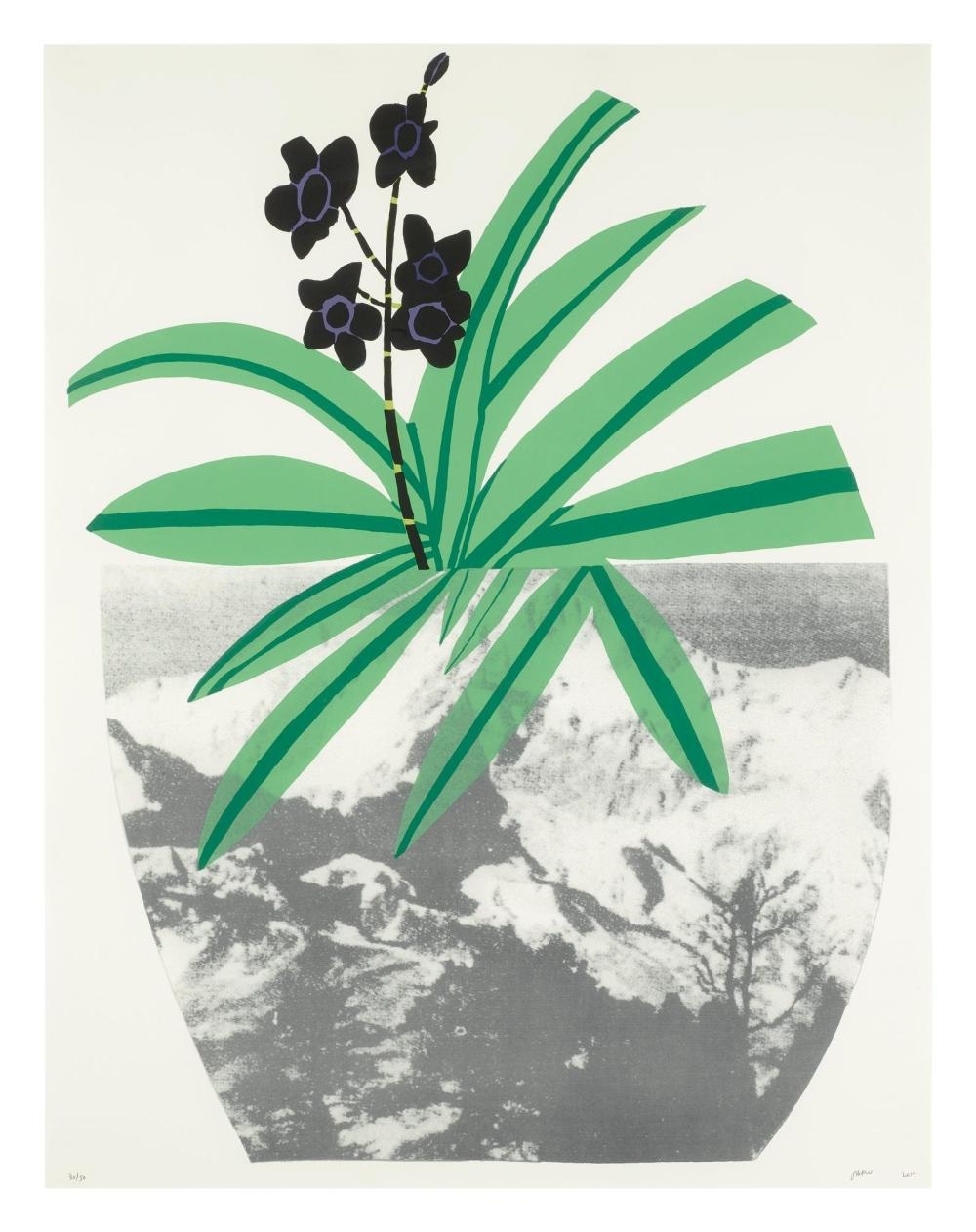 Untitled, 2014