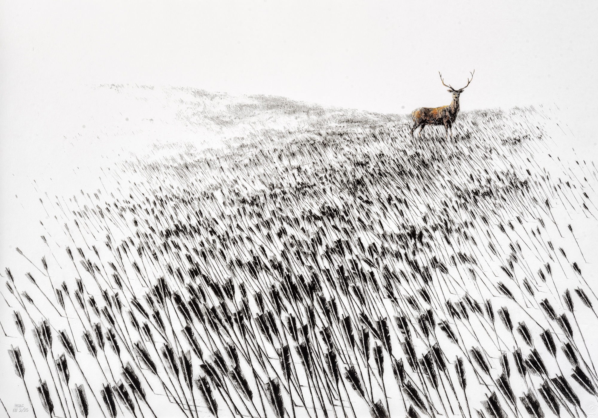 Meadow (Edición Especial)